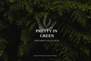 -50% Pretty In Green- Greenery Set