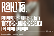 Rakita - Decorative Condensed, a Sans Serif Font by Pandeka Studio (Thumbnail 11 of 12)