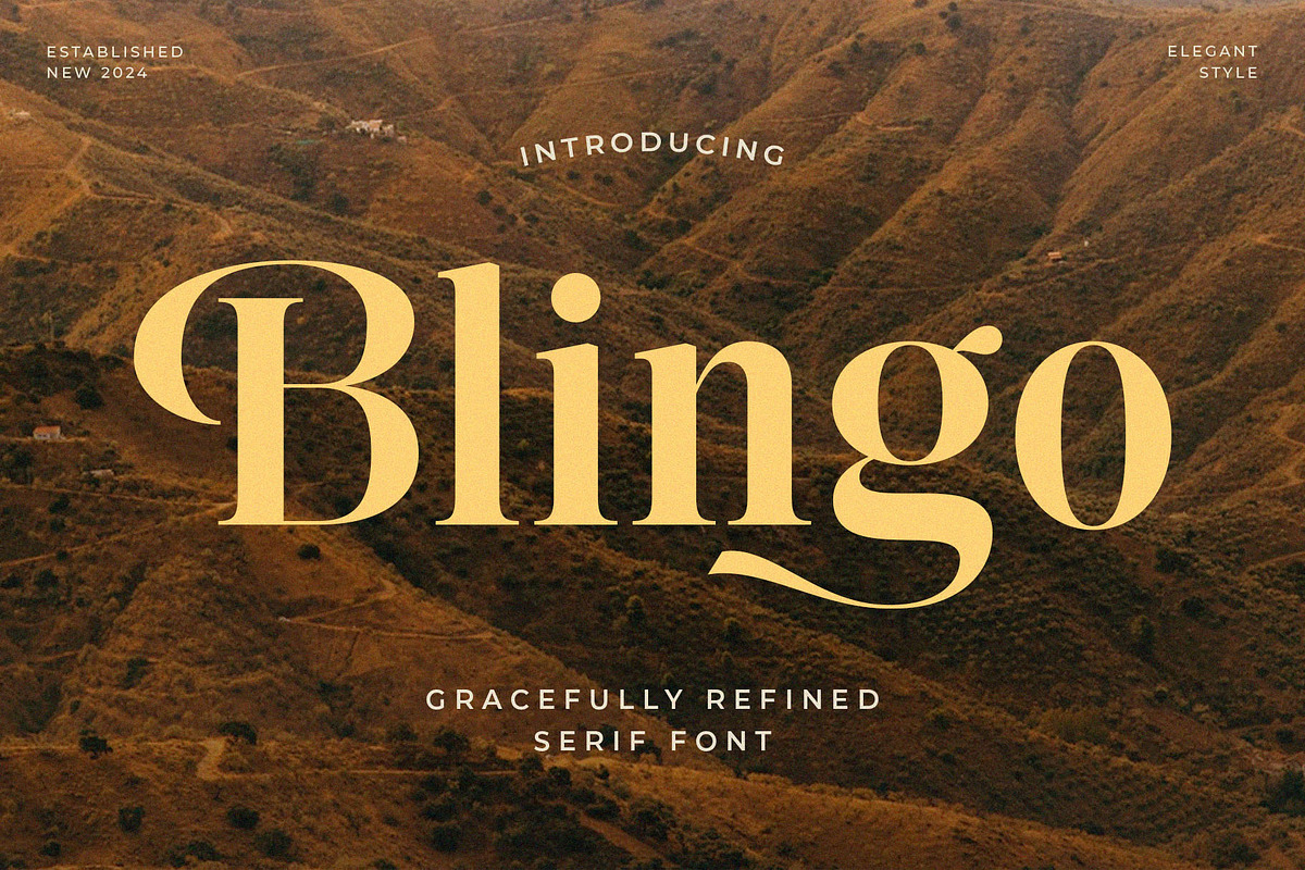 Blingo - Elegant Modern Serif Font, a Serif Font by Jimoji (Photo 1 of 7)