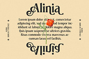 Elnaks Modern Serif Display, a Serif Font by Luna Shop (Thumbnail 7 of 9)