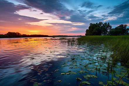 a lake water with colorful sunset sky and leaves in sight, a Photo by AvalgaCollectiblesan