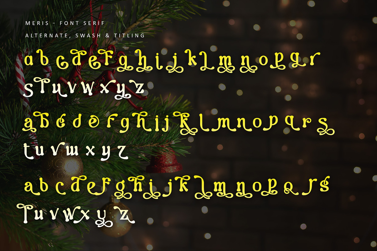 Merrys, a Serif Font by Letterara (Photo 10 of 14)