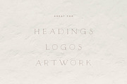 Unlikely Lily - A Hand-Drawn Serif, a Serif Font by Brackish Creative (Thumbnail 4 of 5)