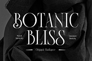 Imperial Grace - Modern Classic, a Serif Font by Novitype (Thumbnail 5 of 12)