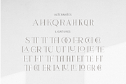 Natoure-All Caps Serif, a Serif Font by DzikrulAulia (Thumbnail 10 of 10)