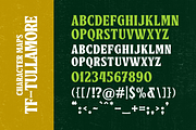 Tullamore | Classic Serif Font, a Serif Font by Twicolabs Fontdation (Thumbnail 6 of 6)