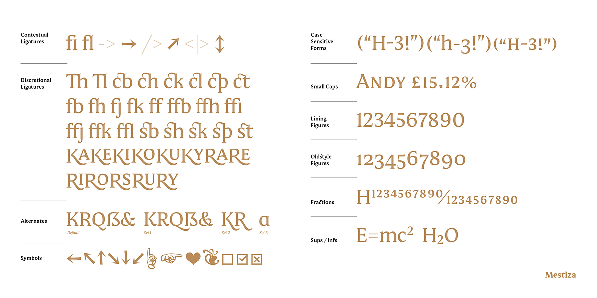 Mestiza, a Serif Font by Lechuga Type (Photo 16 of 16)