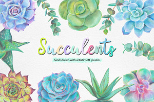 Hand drawn Succulents Clipart