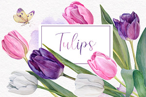 Watercolour Tulips