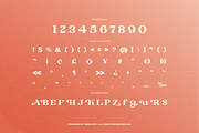 Peaching Regular Serif Font, a Serif Font by Rasio Studio (Thumbnail 4 of 9)