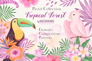 Tropical Forest-Pastel Set