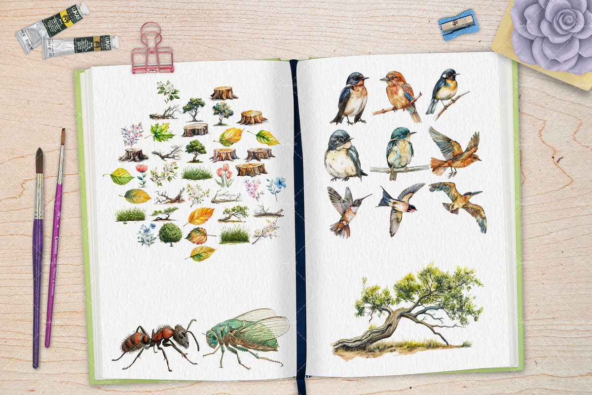 Nature's Symphony: Insects & More, an Illustration by Dazzling Art Boutique (Photo 4 of 6)