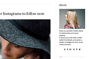 Silver WordPress Theme, a WordPress Template by Theme Junkie (Thumbnail 3 of 4)