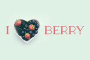 Berry Slab Serif Font, a Slab Serif Font by Graphicdome (Thumbnail 4 of 9)
