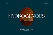 Hydrogenous Elegant Serif Font, a Serif Font by UICreative (Thumbnail 1 of 13)