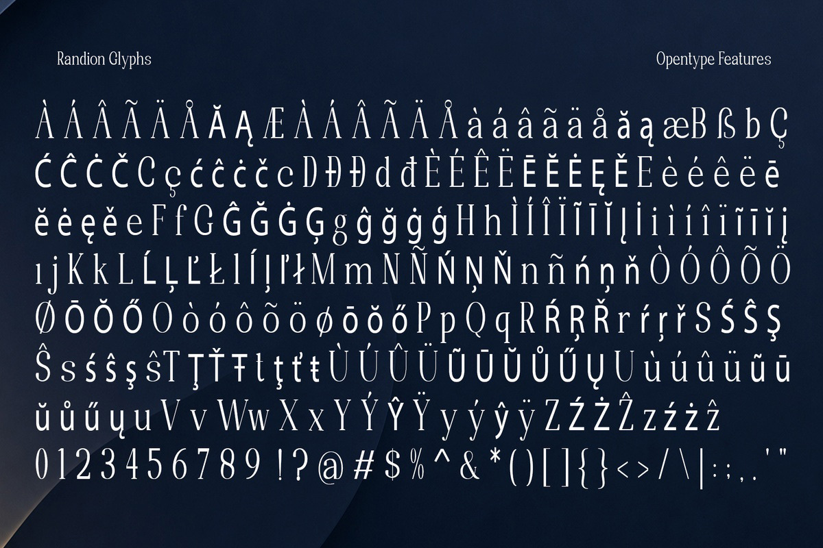 Randion, a Serif Font by StudioRhd (Photo 13 of 14)