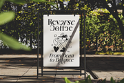 Quenor – Modern Editorial Serif Font, a Serif Font by shineink.designlab (Thumbnail 5 of 10)