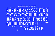 Forrest Gallery Modern Display Font, a Sans Serif Font by Lettertype Studio (Thumbnail 14 of 15)