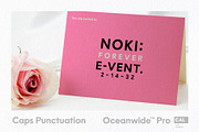 Oceanwide Pro Family, a Sans Serif Font by California Type Foundry (Thumbnail 12 of 13)