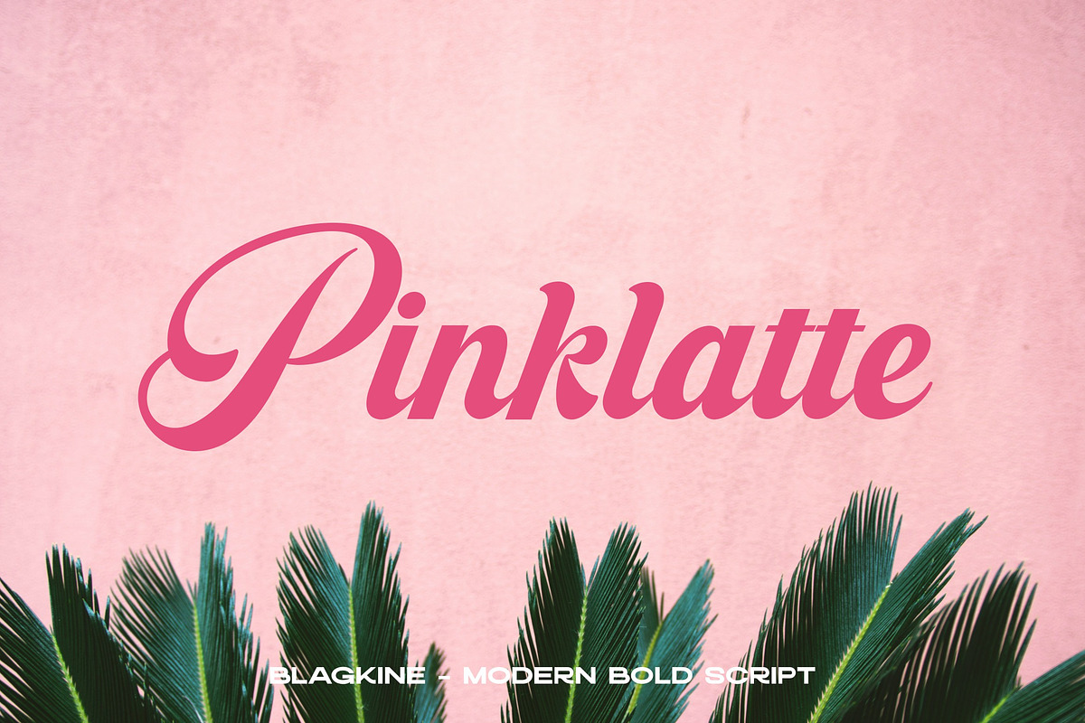 Blagkine - Bold Script, a Script Font by ErgibiStudio (Photo 8 of 11)