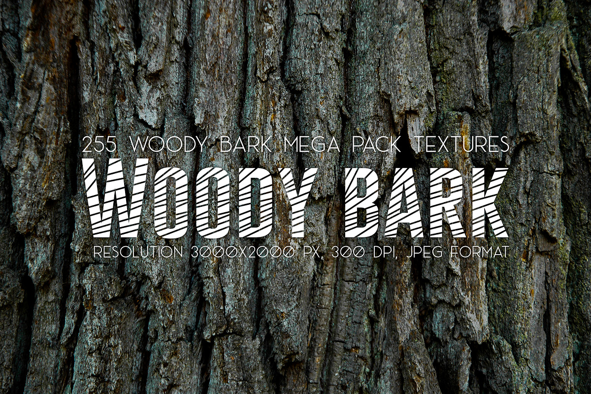 Woody Bark Textures, a Texture Graphic by Norse Moss (Photo 1 of 8)