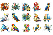 Watercolor Parrots Clipart, an Illustration by Designking (Thumbnail 3 of 5)
