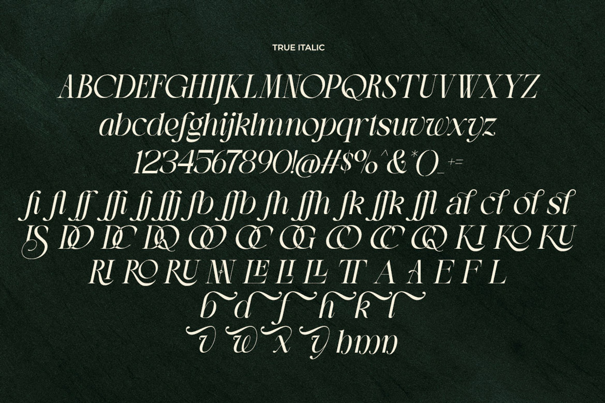 LT The Heistha Editorial - Font Duo, a Script Font by Luminotype (Photo 16 of 17)