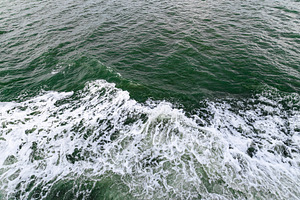 Wave birdsview