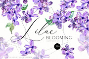 Sale 50% Lilac Blooming Spring, an Illustration by Olga Koelsch (Thumbnail 1 of 9)
