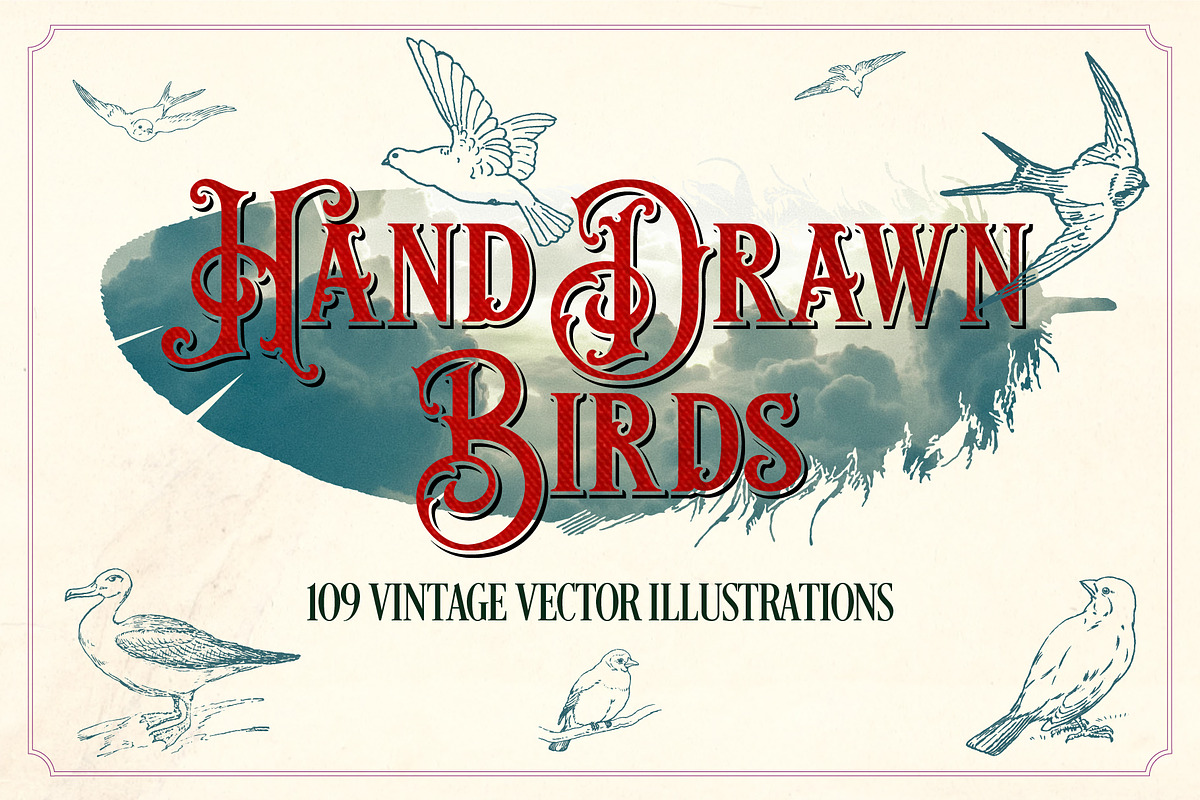 Vintage Hand Drawn Birds