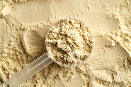 Whey protein powder in a measuring spoon