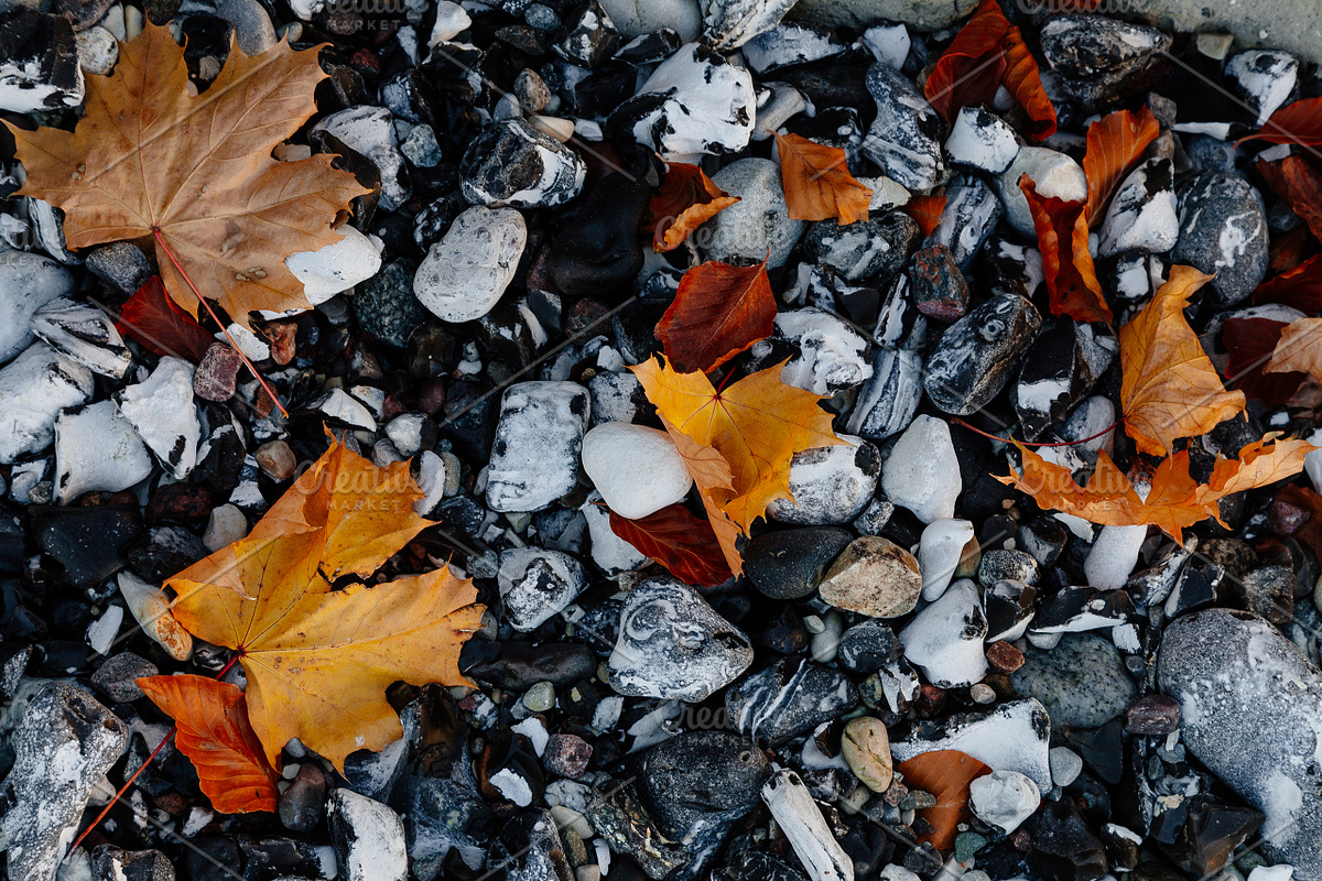 100+ New Hi-Res Autumn Photos, a Background Photo by moonloop (Photo 10 of 13)