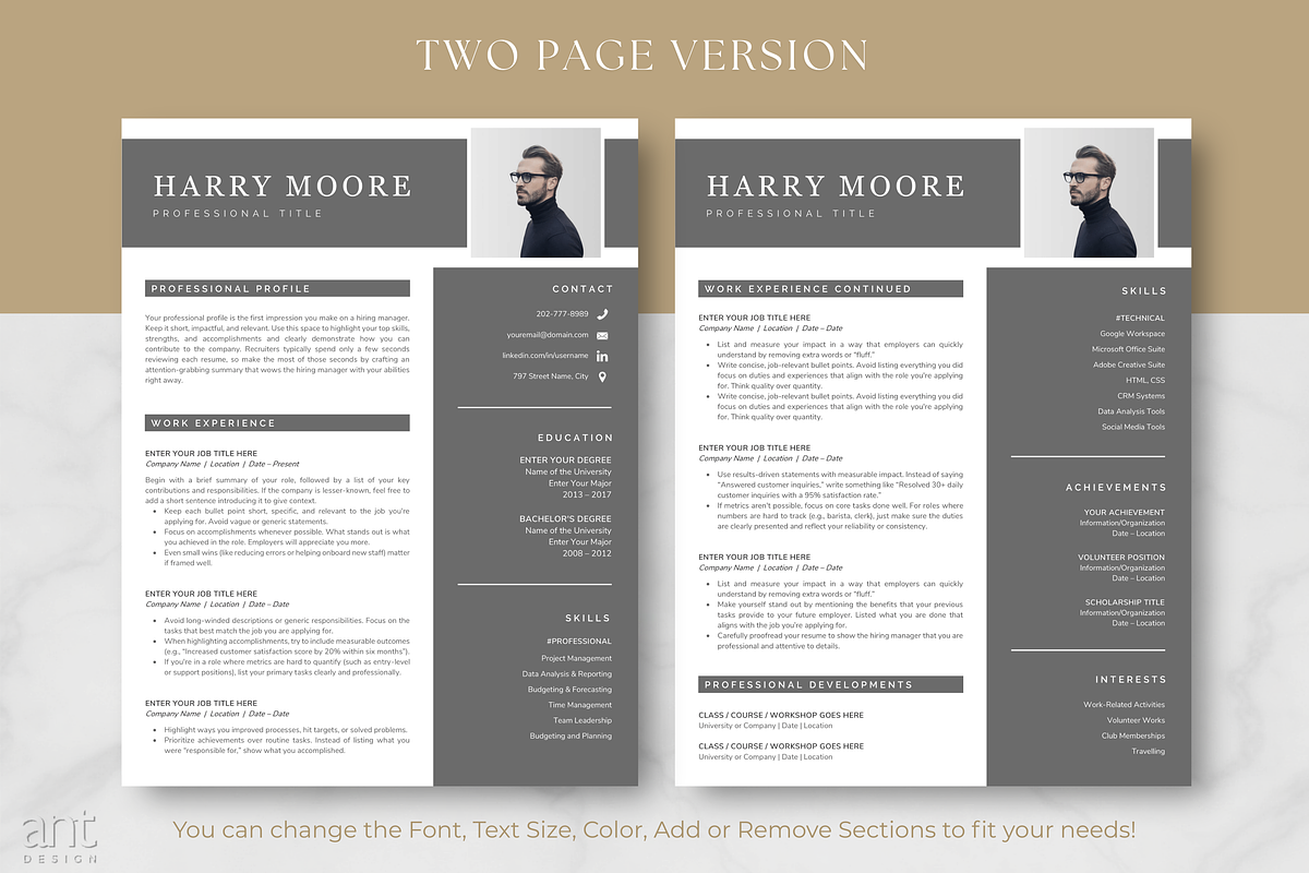 Modern Resume Template - Harry preview 3