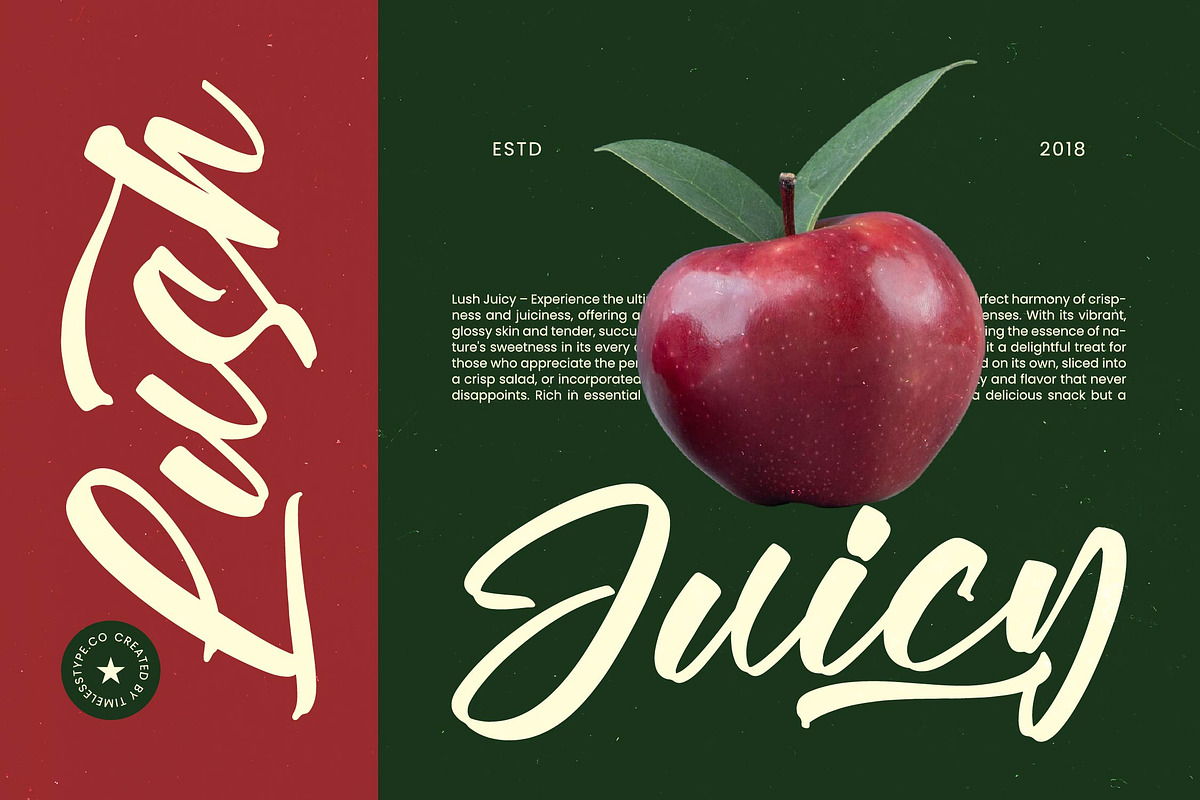 Vaughn Daniel Bold Handwritten Font, a Script Font by stylishtype.co (Photo 5 of 19)