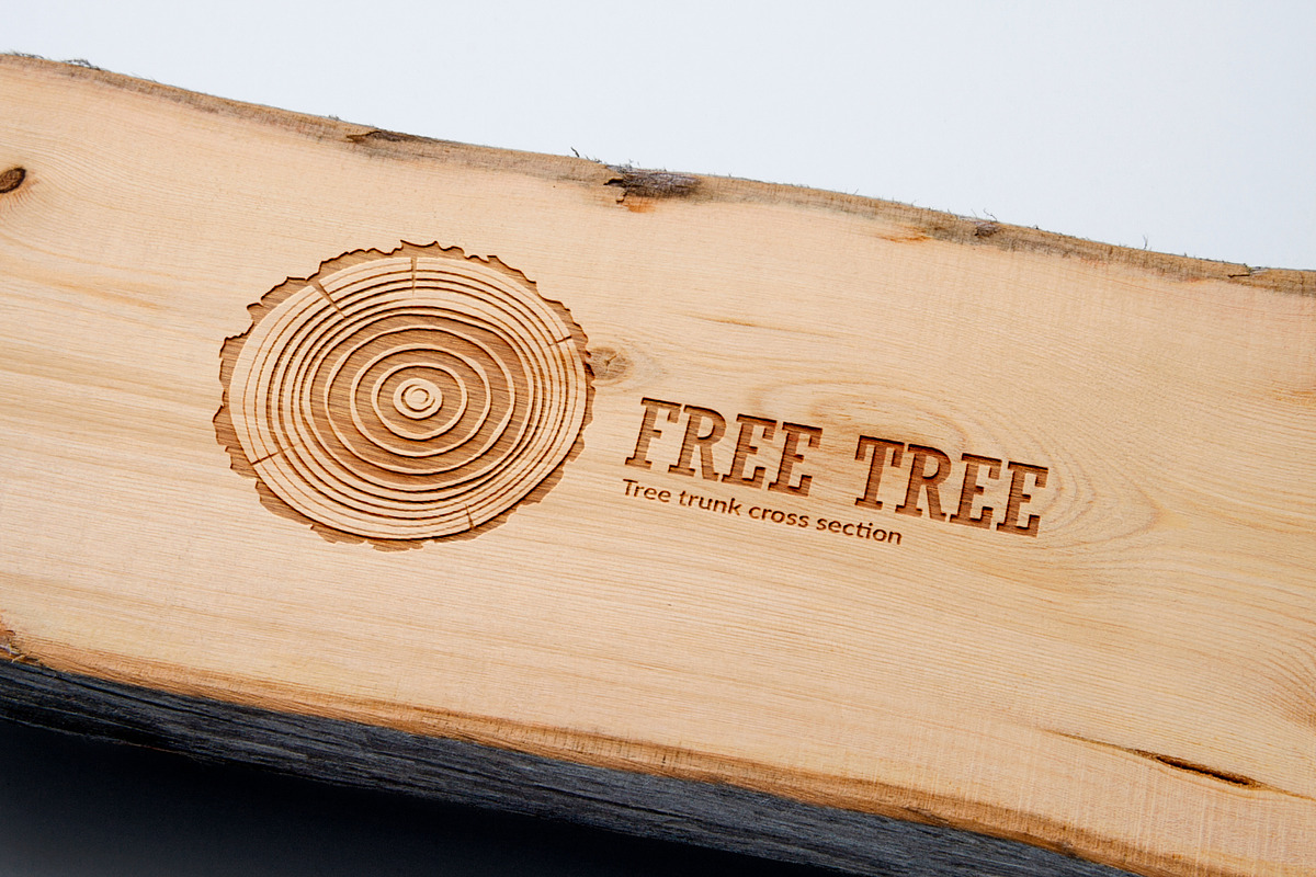 Tree trunk cross section., an Object Graphic by DOBROGRAPH (Photo 7 of 7)