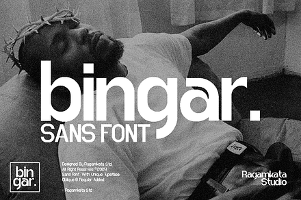Bingar, a Sans Serif Font by RagamKata