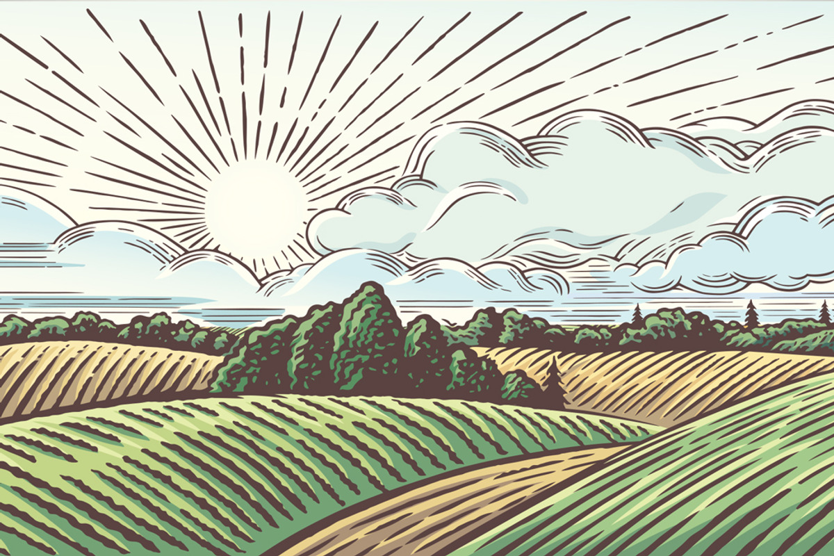 Rural landscape with Farm, an Illustration by Countryside life (Photo 3 of 9)