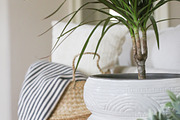 Living with Plants Photo Bundle, a Nature Photo by Wellness Stock Market (Thumbnail 6 of 11)