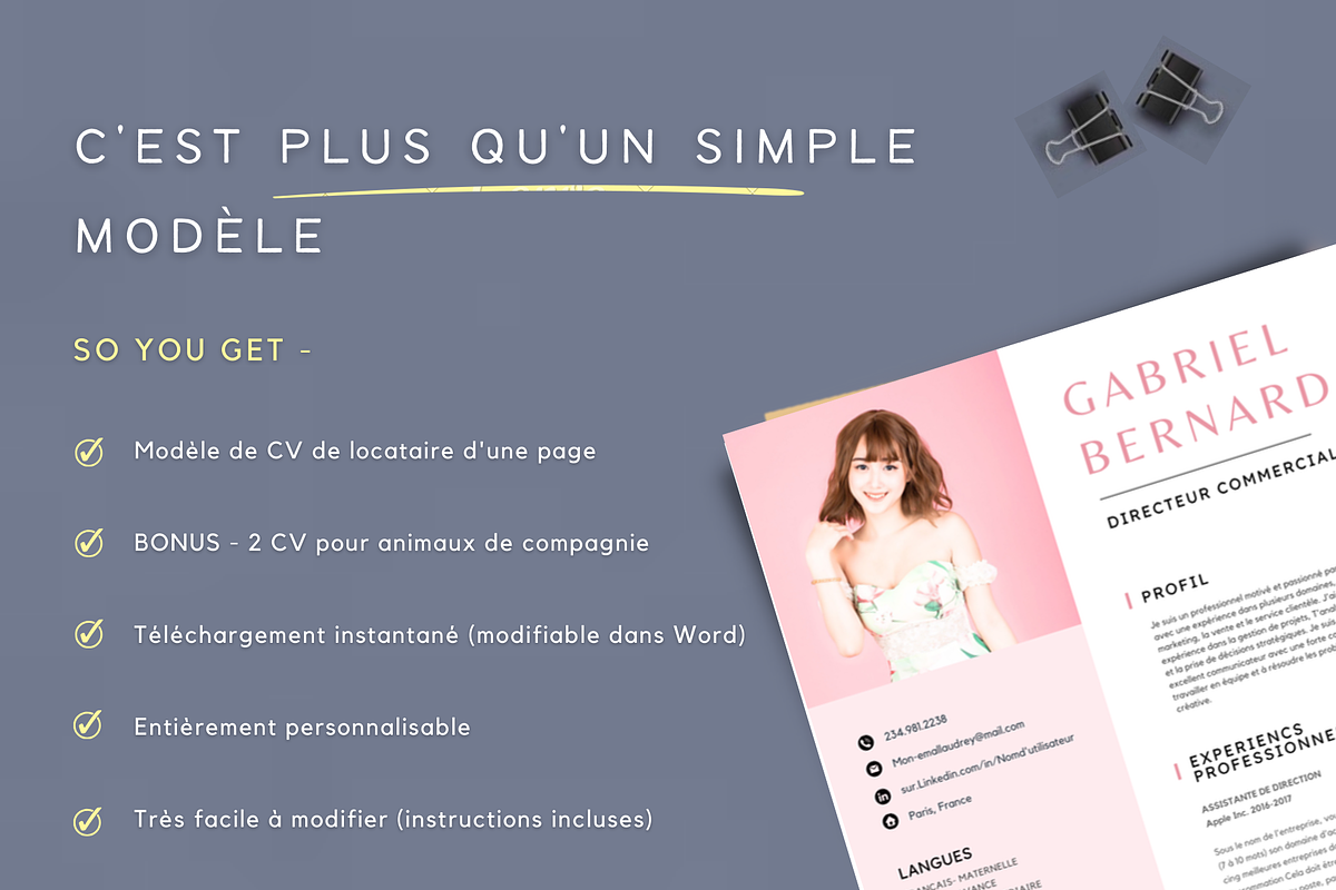Cv francais, Modèles de CV Simples, a Resume Template by Climbwithelevator (Photo 6 of 7)