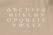 CARVES - Modern Display Font, a Sans Serif Font by Sensatype (Thumbnail 15 of 20)