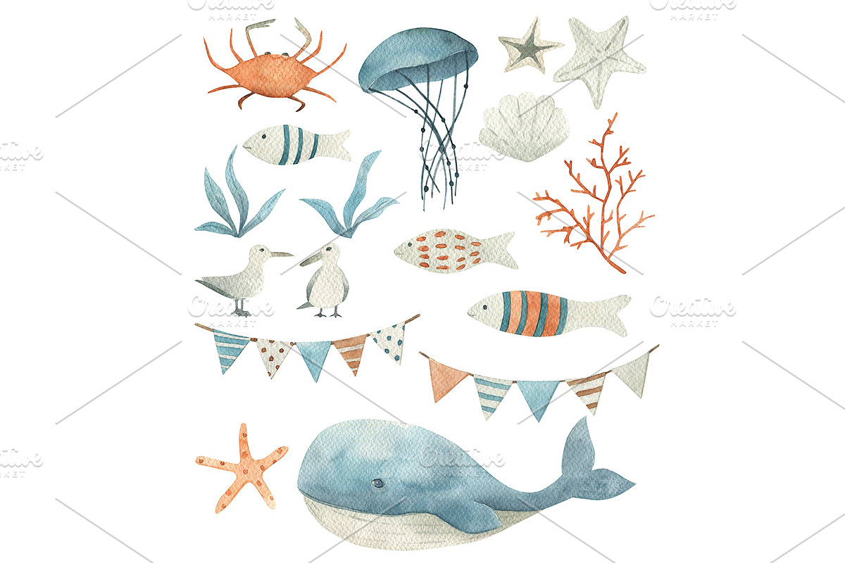 Watercolor Marine Collection, an Object Illustration by Natikka Art (Photo 5 of 7)