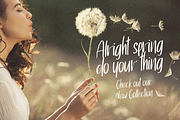Spring Walk brush scrpit font, a Script Font by George Bourle (Thumbnail 10 of 10)
