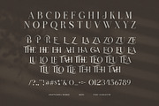 Reathe Elegant Serif Font, a Serif Font by Graphicxell (Thumbnail 8 of 8)