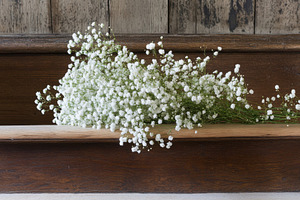 Lovely white floral arrangement with, a Photo by Iftikhar Alam