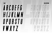 Forever Freedom Font Family, a Sans Serif Font by Salt & Pepper Designs (Thumbnail 8 of 10)