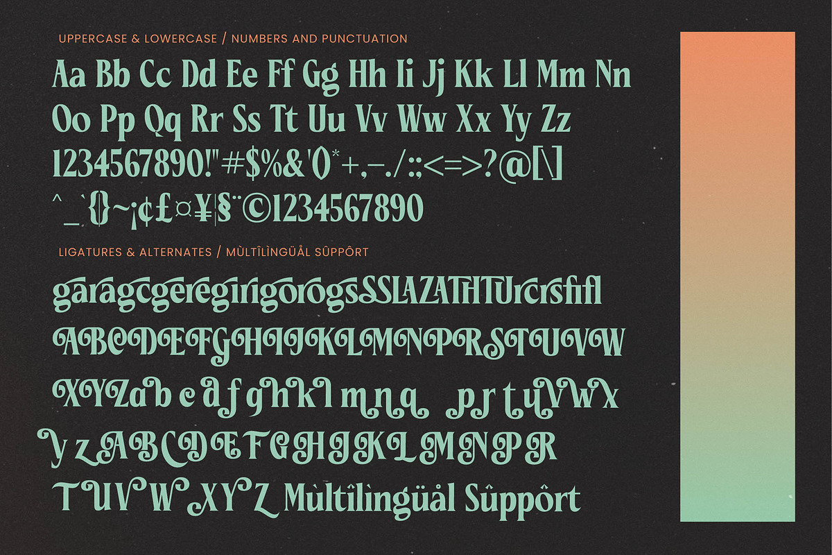 Ceganf Modern High Contrast Serif, a Serif Font by timelesstype.co (Photo 19 of 20)