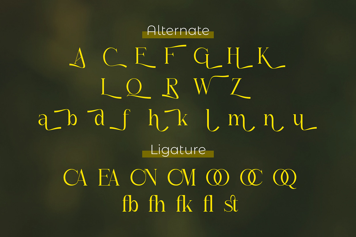 Gistabon, a Serif Font by Rishsketch (Photo 10 of 13)