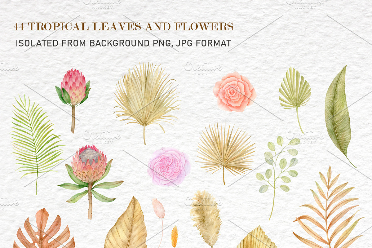 Tropical dried leaves set, an Illustration by svetodesign (Photo 3 of 16)