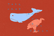 Textured Animals: 123 Elements, an Animal Illustration by Veyla (Thumbnail 7 of 14)