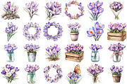 Watercolor Crocuses Flowers ClipArt, an Illustration by designcity5 (Thumbnail 2 of 5)